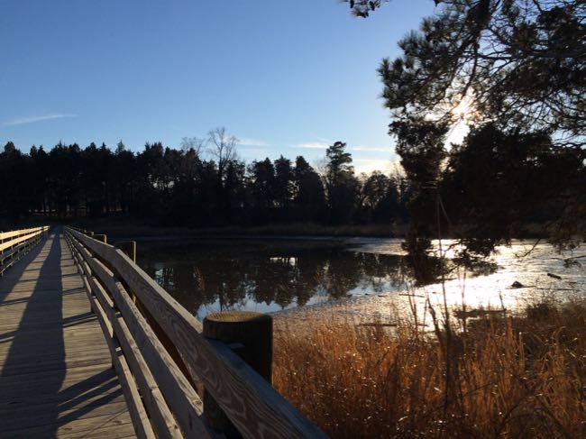 Washington Birthplace bridge over Pope's Creek