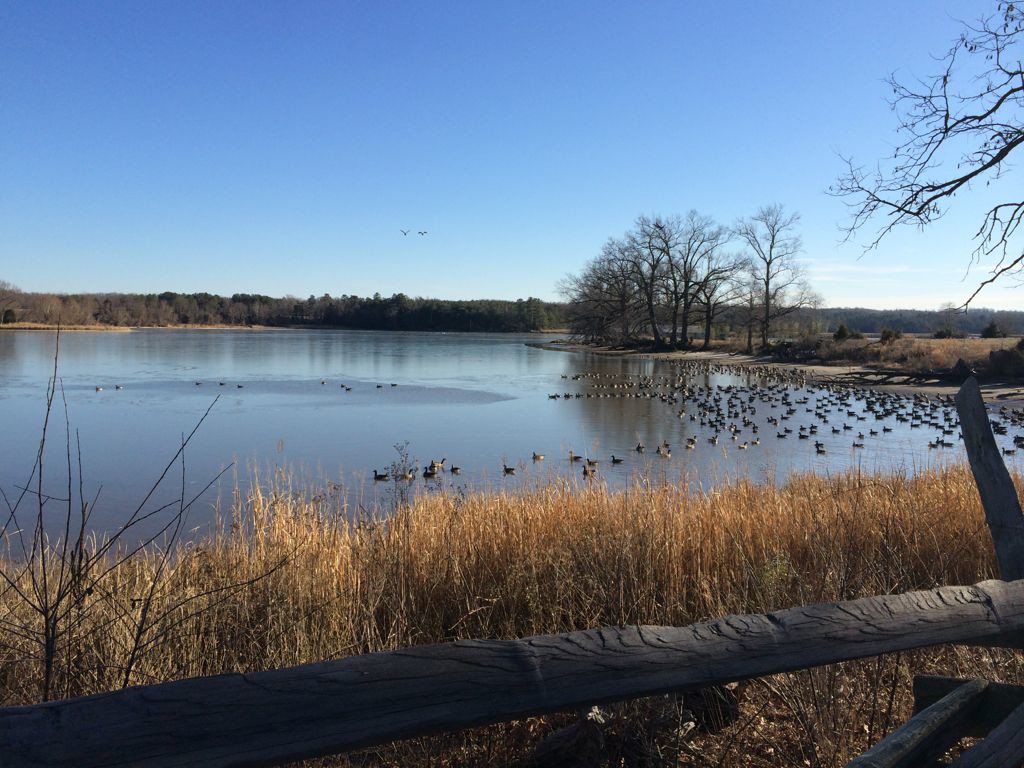 View of Pope's Creek