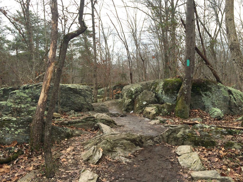 GFNP River Trail rocks