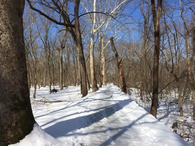 Great Falls snowy path