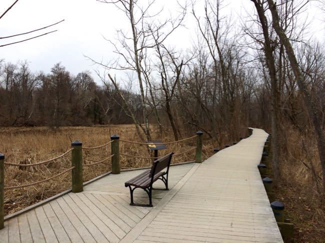 Roosevelt Island bench along the boardwalk in winter