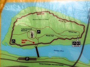 Theodore Roosevelt Island Hike at the Edge of Washington DC