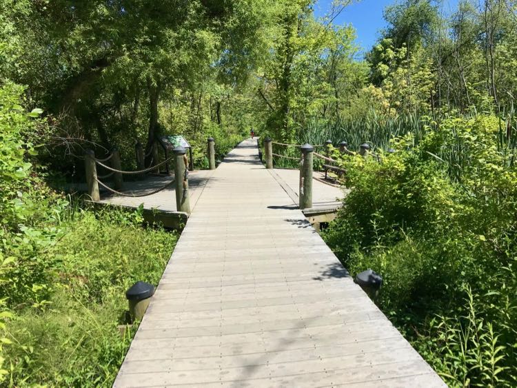 Theodore Roosevelt Island boardwalk seating area