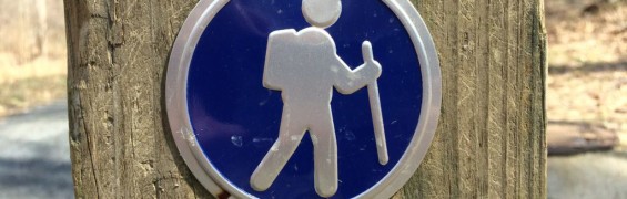 8 Great Spring Hikes in Northern Virginia 8 Great Spring Hikes in Northern Virginia