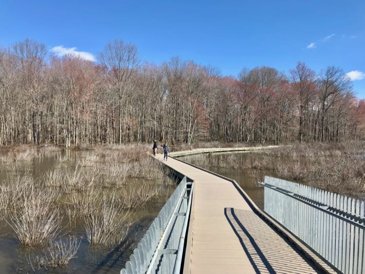 Photographers at Huntley Meadows Park Northern VA