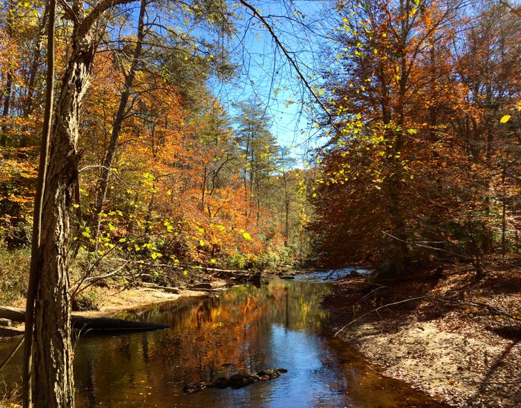 Prince William National Forest Park in Virginia