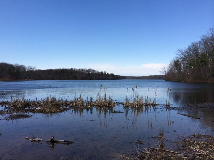 Early spring at Burke Lake