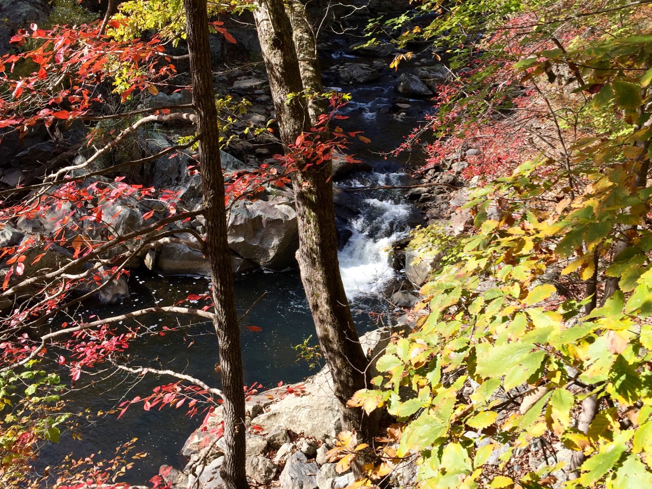 Colorful waterfall view of Difficult Run on the Great Falls loop hike