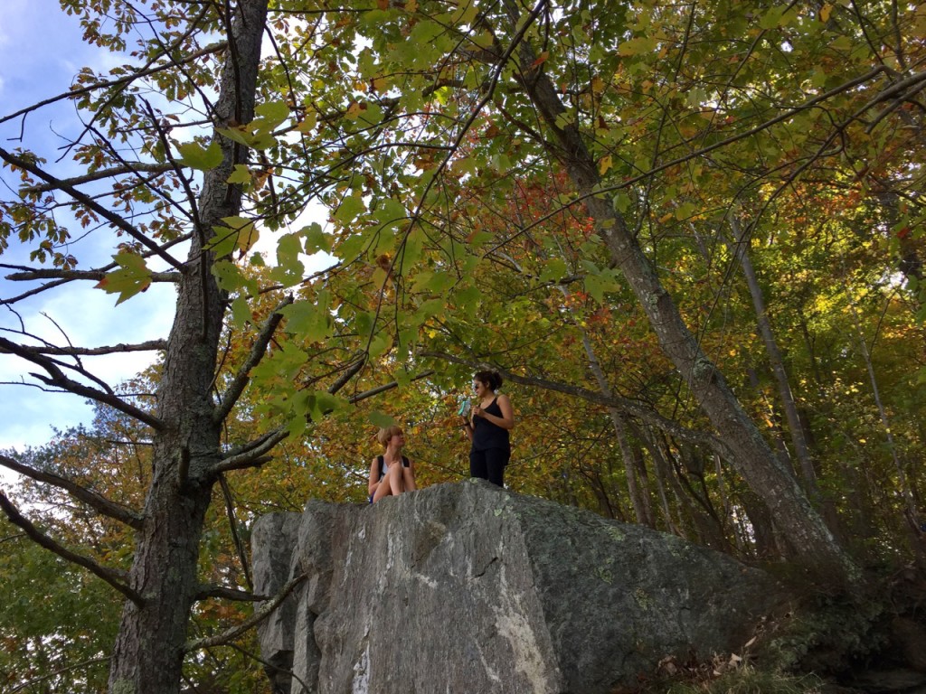 Cow Hoof Rock on the River Trail Great Falls Park