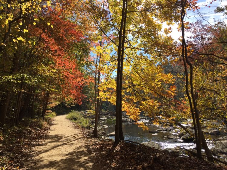 Cross County Trail by Difficult Run, Great Falls Virginia