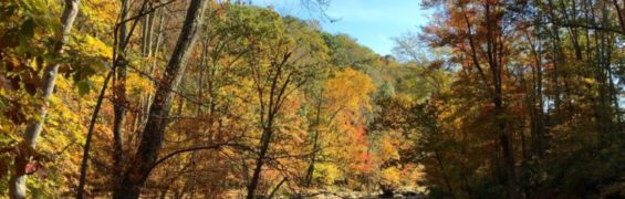 Scenic Drive: Georgetown Pike & George Washington Memorial Parkway The Cross County Trail follows Difficult Run in Great Falls Virginia