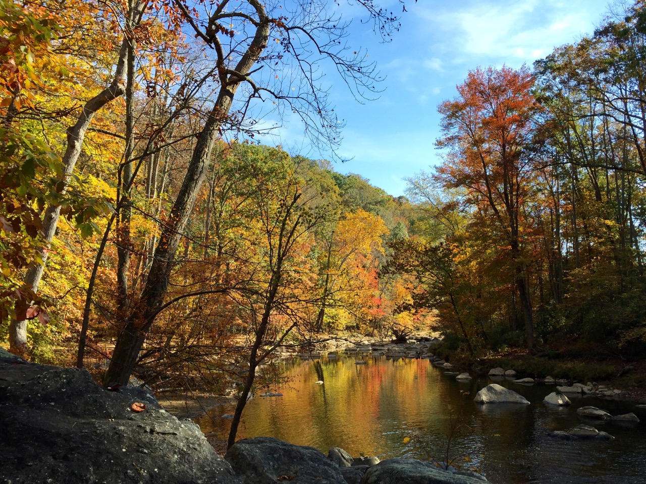 Fall foliage on Difficult Run Trail