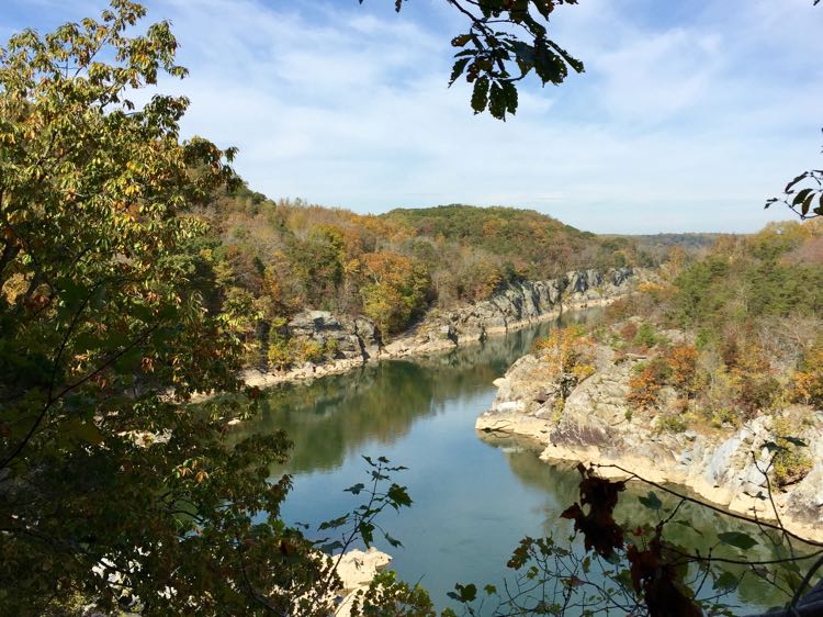 Mather Gorge view from Great Falls loop hike