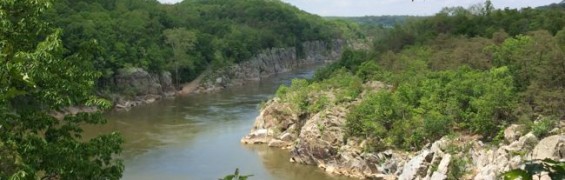 Great Falls Loop Hike: Run Ridge and River Potomac view from River Trail and Cow's Hoof Rock, Great Falls Park