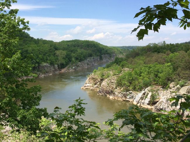 Potomac view from River Trail and Cow's Hoof Rock, Great Falls Park