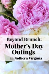 Virginia / Washington DC USA Travel. Fun Mother's Day outings, destination, hikes, and outings to celebrate Mom in Northern Virginia. Each outing includes active options and ones appropriate for limited mobility or children in strollers. #Virginia #hiking #nature #MothersDay