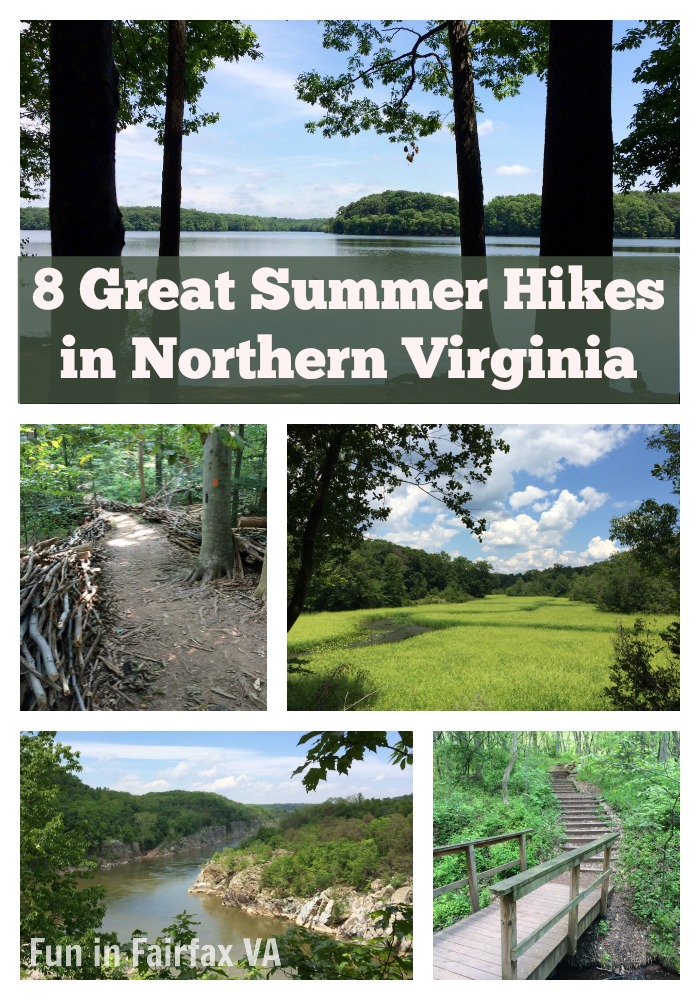 8 Great Summer Hikes in Northern Virginia Fun in Fairfax VA