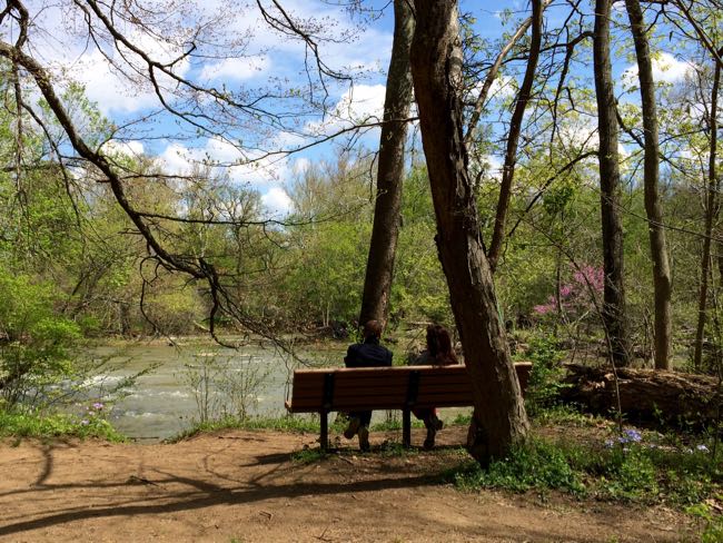 Bench on the Potomac Heritage Trail in Seneca Regional Park