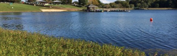 Play All Day at Lake Fairfax Park in Reston Virginia Lake Fairfax Park Reston Virginia