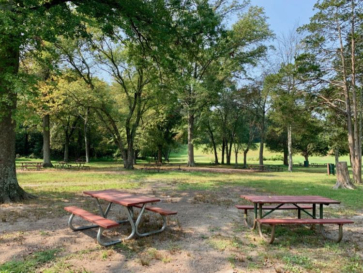 Lake Fairfax Park has one of the best free picnic spots for large groups