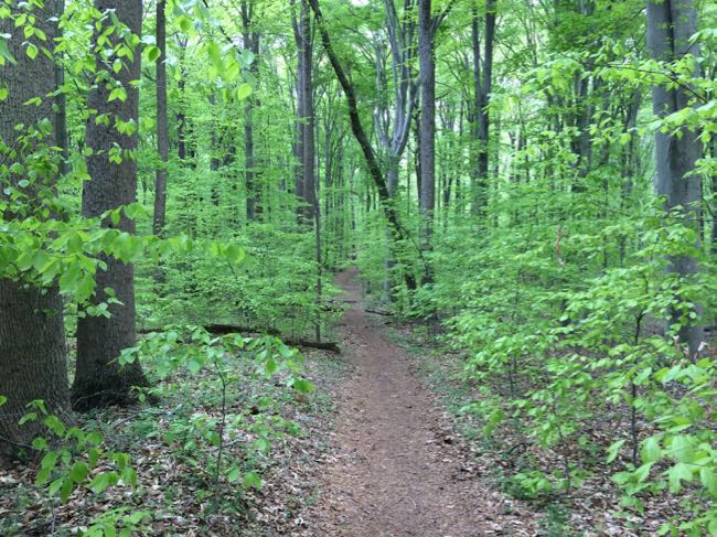 Spring trail in Seneca Regional Park