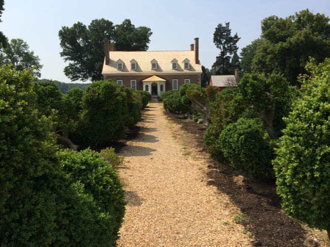 Gunston Hall boxwood allee, Mason Neck Virginia