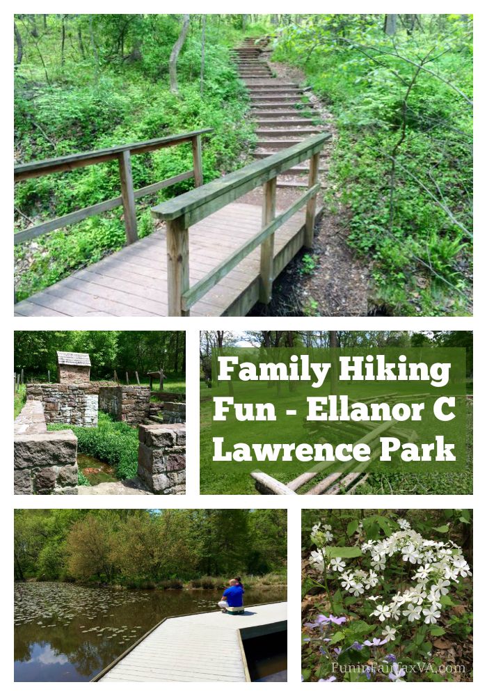 Ellanor C Lawrence Park in Chantilly, Virginia, offer easy family hiking and a little learning fun, with 4 miles of trails, a pond, and historic buildings.