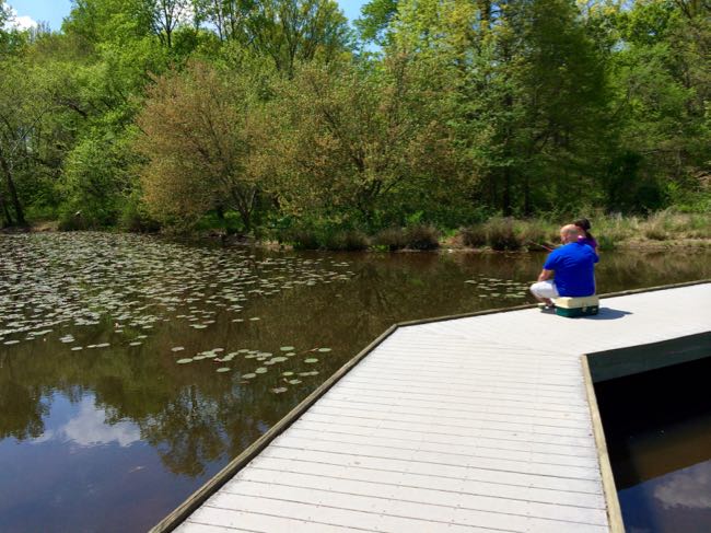 Fishing at Ellanor C Lawrence Park