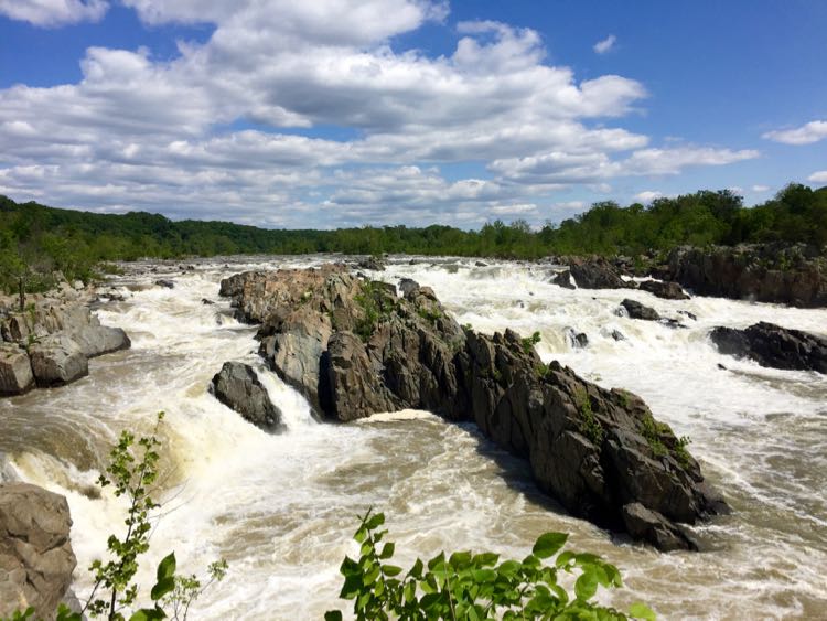 Le cascate del Great Falls Park dall'Overlook 1 lato Virginia a metà maggio 2015