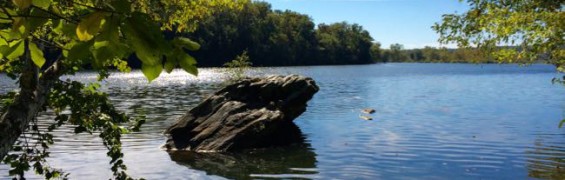 10 Great Falls Park Alternatives When Entry Lines Are Long View of the Potomac, Riverbend Park, Great Falls VA
