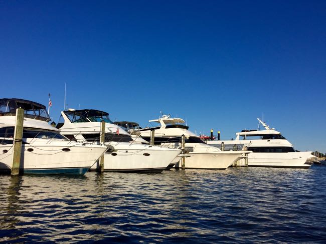 Yacht line-up Annapolis