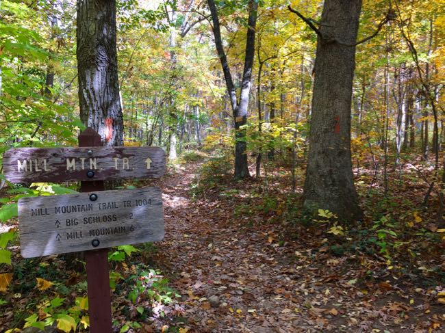 Big Schloss Mill Mtn trailhead