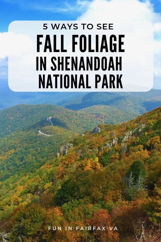 5 Ways to Enjoy Fall Foliage in Shenandoah National Park