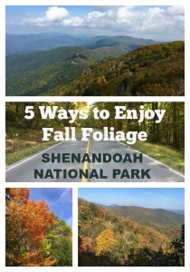 Voici 5 façons de vous immerger dans les couleurs abondantes du feuillage d'automne dans le parc national de Shenandoah, et d'explorer les vues imprenables de Skyline Drive.