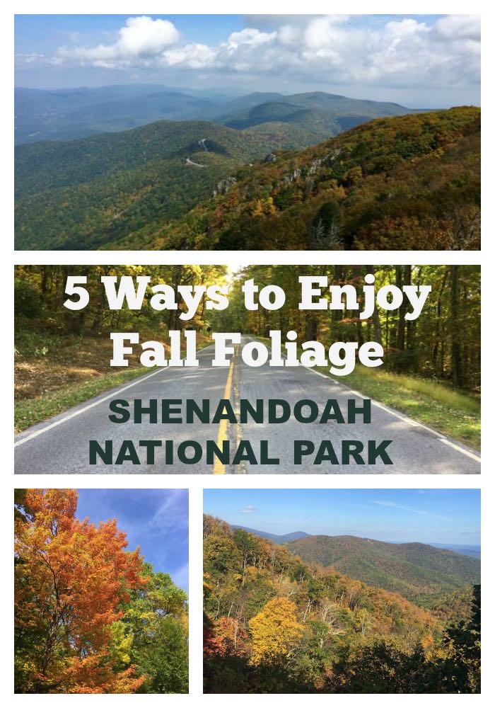 5 Ways to Enjoy Fall Foliage in Shenandoah National Park