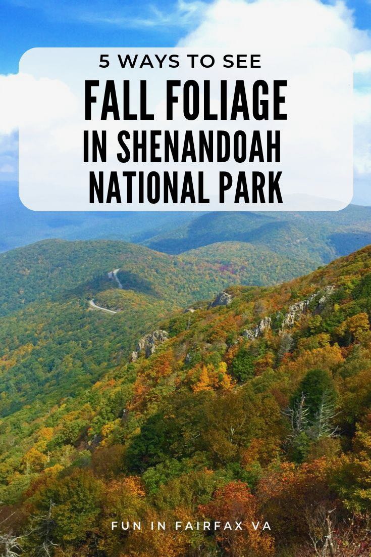 5 modi per godersi il fall foliage nello Shenandoah National Park Virginia. Avventura all'aperto e un viaggio panoramico su strada nel medio Atlantico USA.