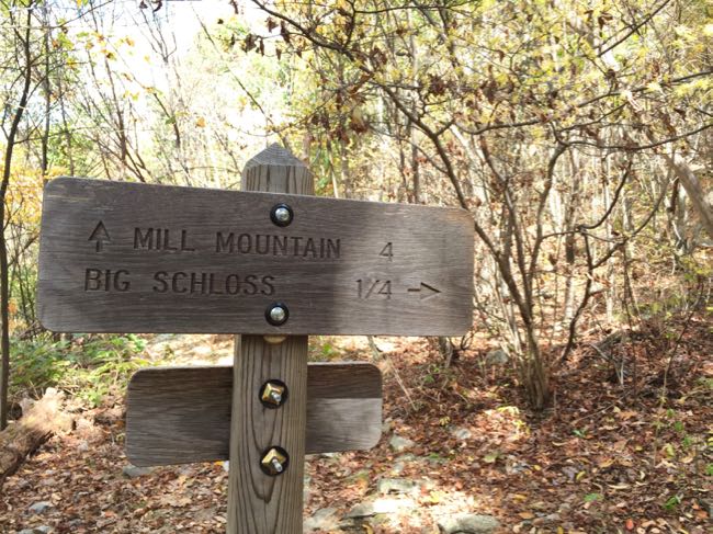 Turn right on the spur trail to Big Schloss summit