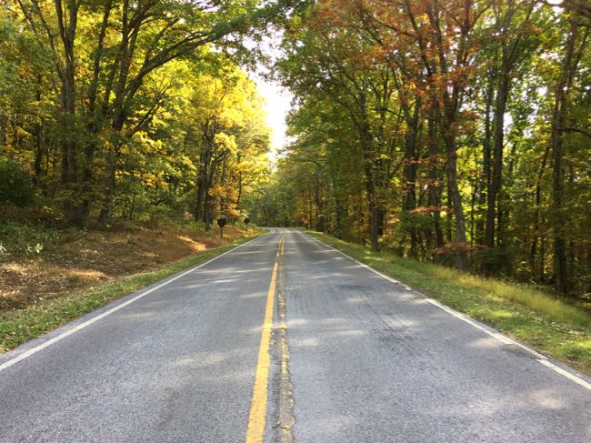Take a scenic drive on Skyline Drive in Shenandoah National Park Virginia