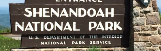 5 Ways to Enjoy Fall Foliage in Shenandoah National Park Thornton Gap Entrance sign Shenandoah