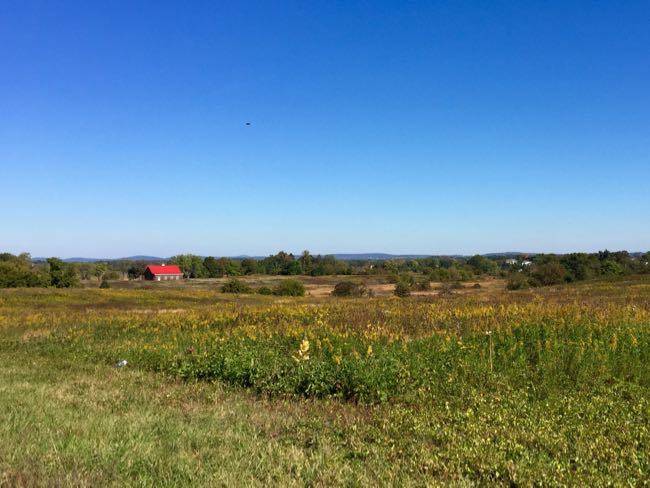 View from Route 690 Purcellville