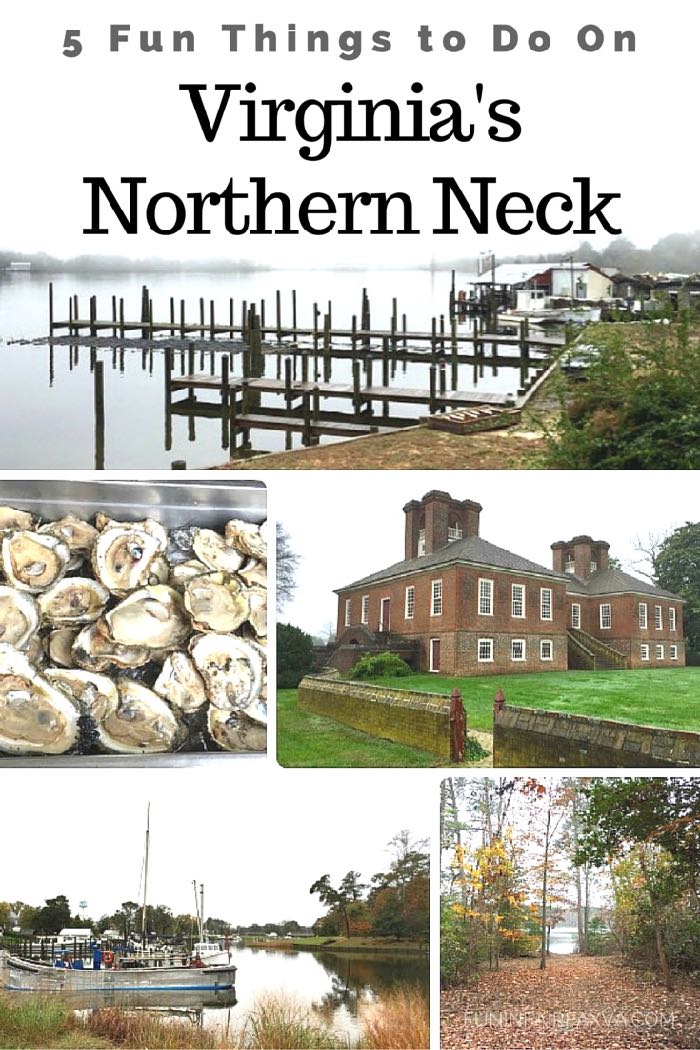 Rich history and nature, small town beauty, and delicious local foods make Virginia's Northern Neck an ideal weekend getaway, just 2 hours from the DC area.