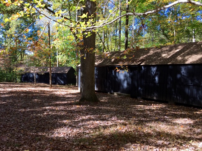 CCC Cabins, Prince William Forest
