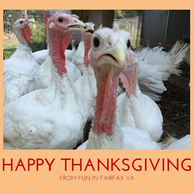 Thanksgiving medical meme