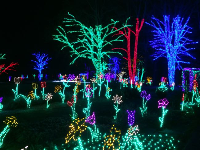 Meadowlark Park Lights Harete