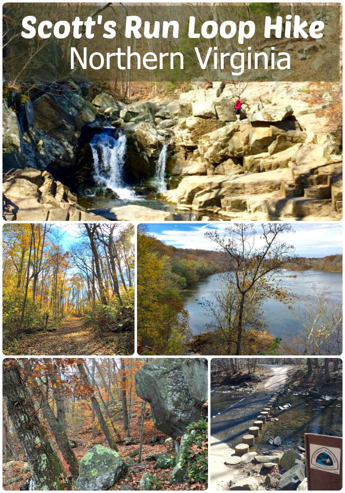 The Scotts Run loop hike includes a cliffside view, scenic waterfall, and a nice, somewhat challenging stretch of the Potomac Heritage Trail in Virginia, close to DC.