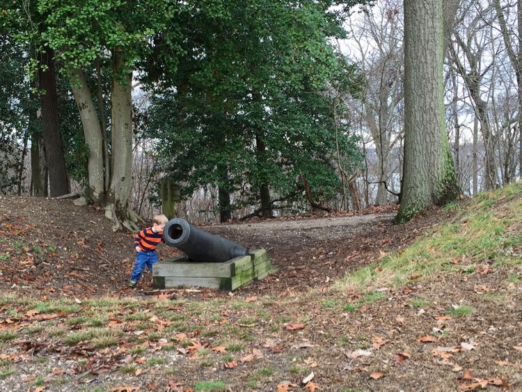 Confederate gun emplacement Leesylvania State Park hike