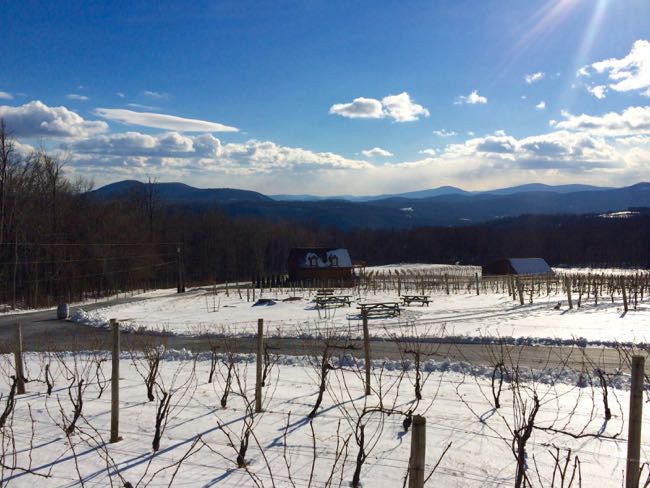 Fox Meadow Winery view