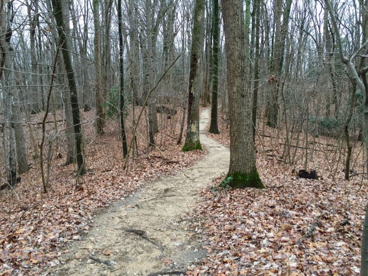 Lees Woods Trail Leesylvania State Park Virginia