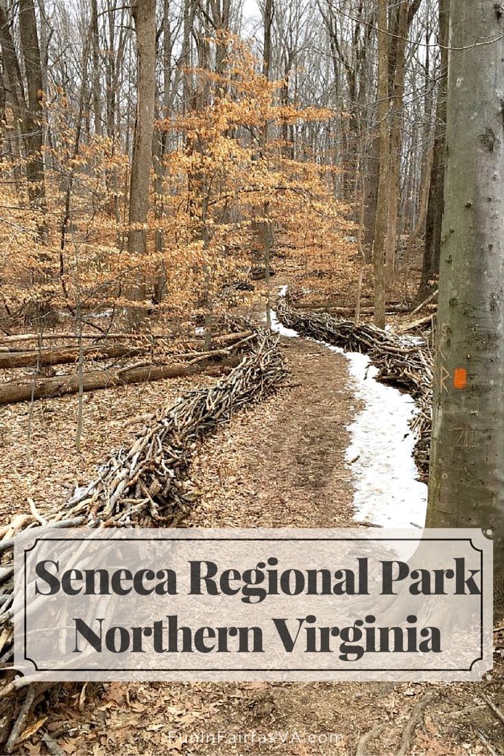 Seneca Regional Park in Northern Virginia offers hikers, birders, and equestrians beautiful woodland trails and an historic section of the Potomac River.