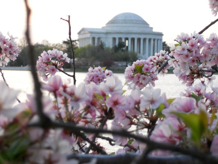 Magazine - Mid-Atlantic US Travel